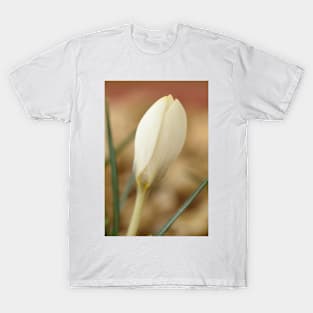 Crocus biflorus  &#39;Miss Vain&#39; T-Shirt